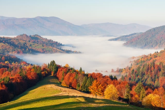 Krajina v Zakarpatské Ukrajině s lesnatými horskými svahy, loukami a mlhou v údolí.